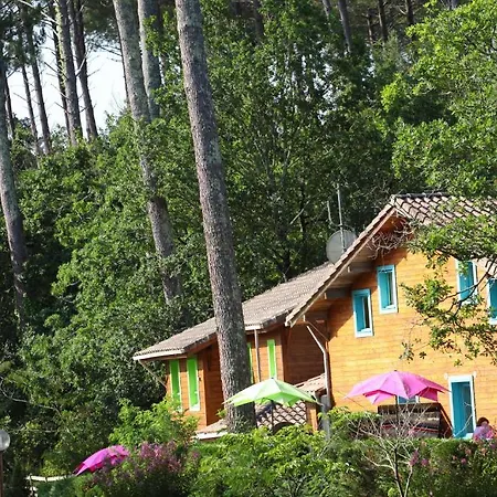 Village Nature Et Océan Messanges (Landes)